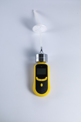 Safegas Portable Muiti Gas Detector PH3 and CH3Br Gas Detector For Fumigation Industry  Adopt Imported Gas Sensors