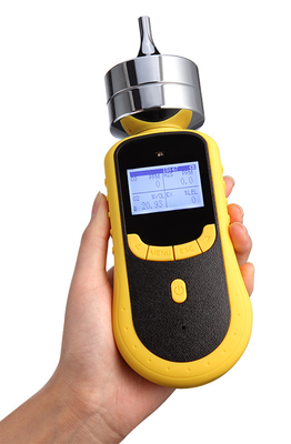 Safegas Portable Muiti Gas Detector PH3 and CH3Br Gas Detector For Fumigation Industry  Adopt Imported Gas Sensors